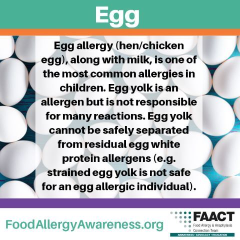 Egg Allergy Facts